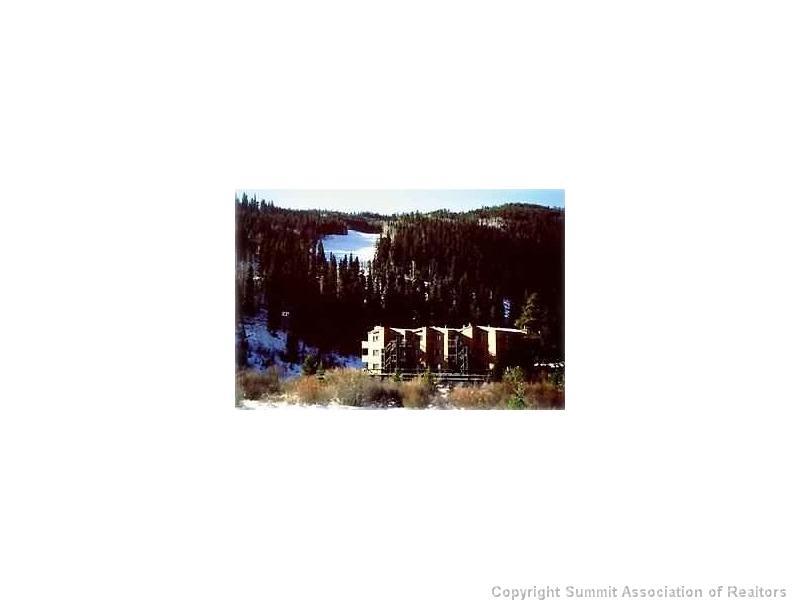 1463 East Keystone Road, Unit 2948 Dillon, CO 80435 - Photo 2 of 17 Gallery Image 2