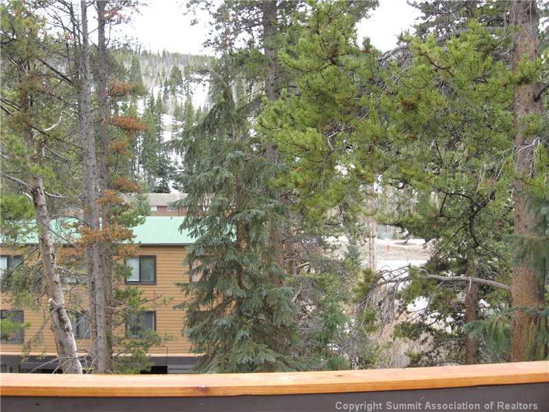 1463 East Keystone Road, Unit 2948 Dillon, CO 80435 - Photo 13 of 17 Gallery Image 13