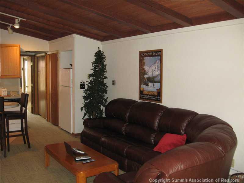 1463 East Keystone Road, Unit 2948 Dillon, CO 80435 - Photo 6 of 17 Gallery Image 6