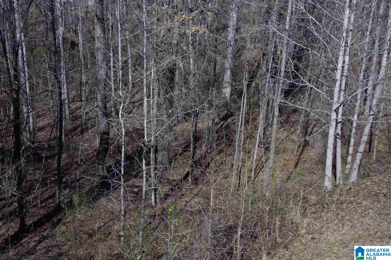 4097 Falliston Drive Helena, AL 35080 - Photo 35 of 36