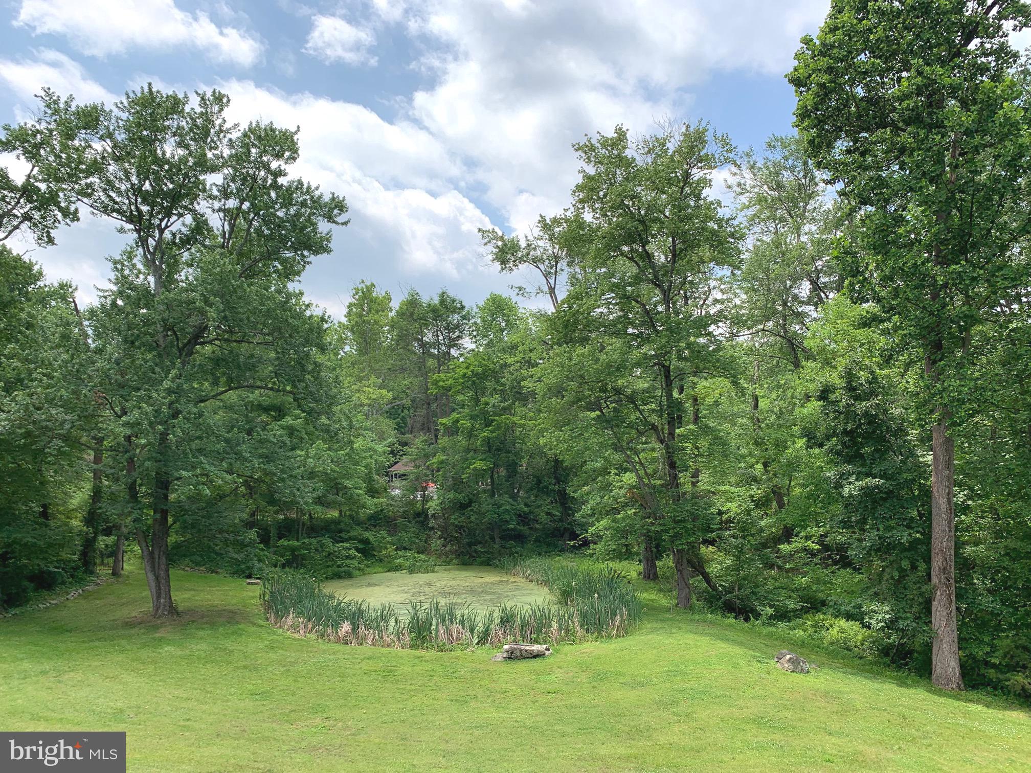 117 Midway Road Phoenixville, PA 19460 - Photo 36 of 49 Pond View Primary BD