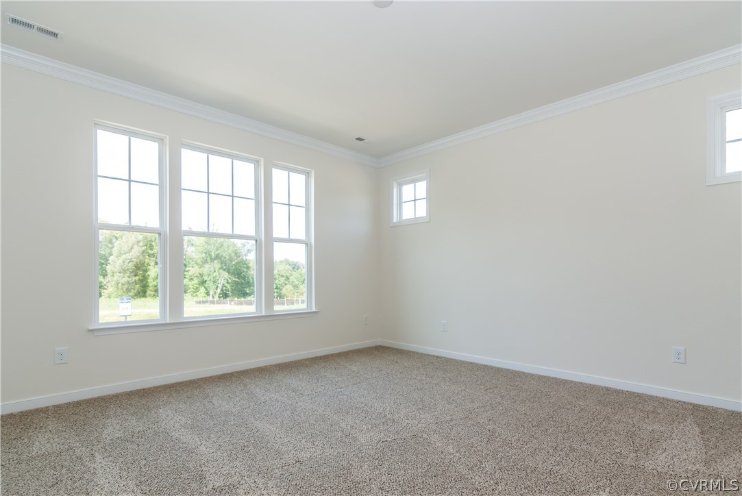 5704 Rohan Court Moseley, VA 23120 - Photo 8 of 27 Gallery Image 8