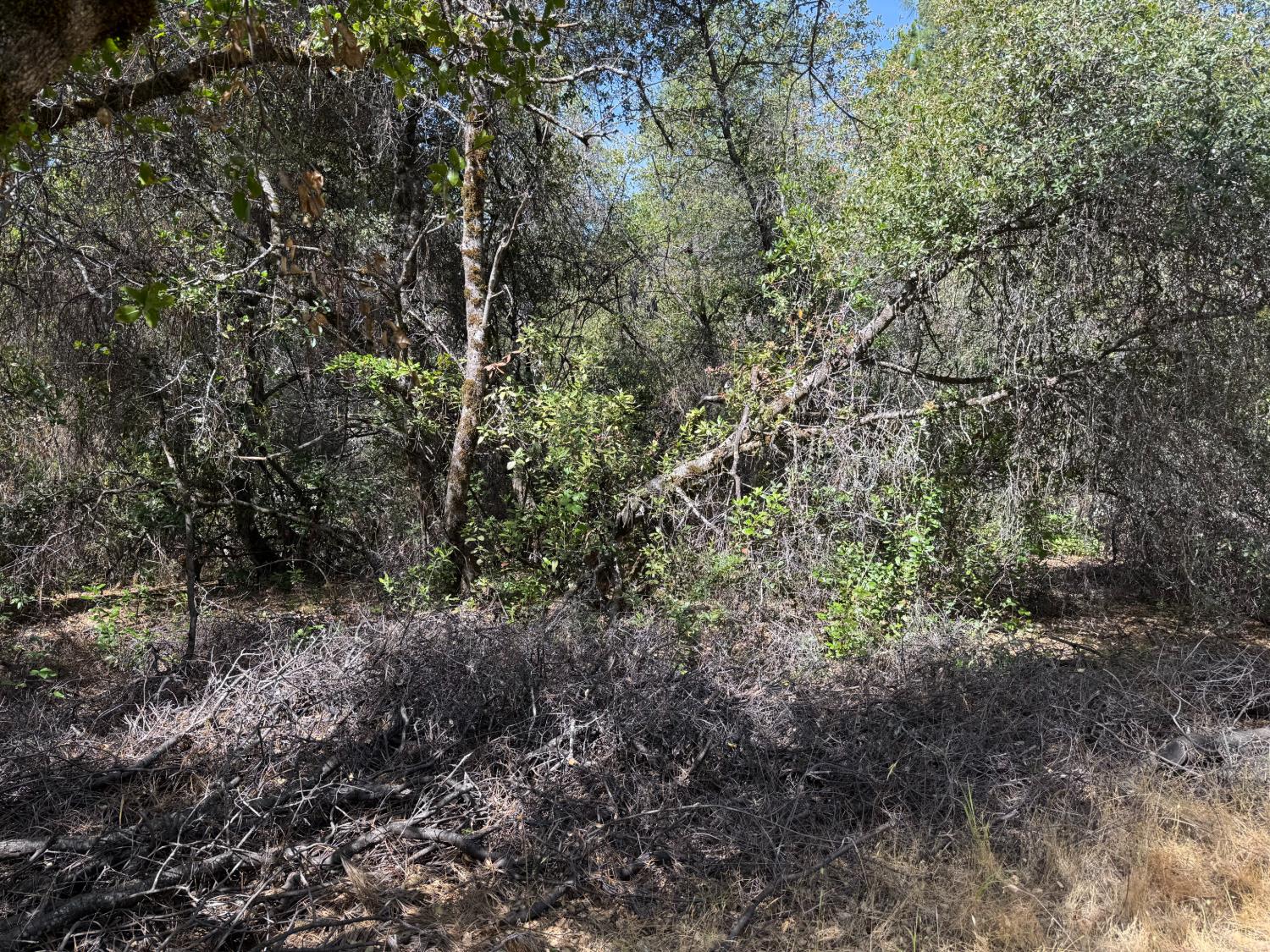 0 French Gulch Road Murphys, CA 95247 - Photo 14 of 19