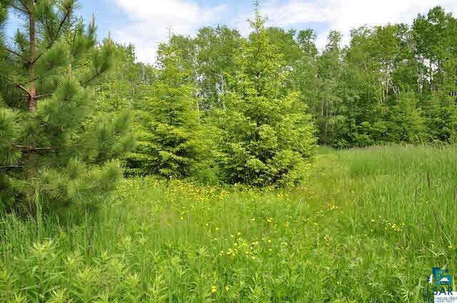 0 Westgate Road Washburn, WI 54891 - Photo 3 of 14 Gallery Image 3