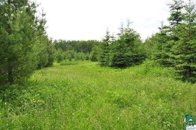 0 Westgate Road Washburn, WI 54891 - Photo 5 of 14 Gallery Image 5