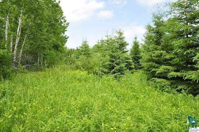 0 Westgate Road Washburn, WI 54891 - Photo 8 of 14 Gallery Image 8