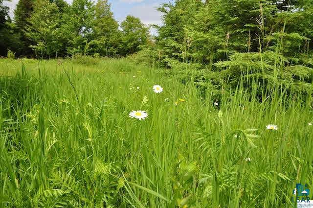 0 Westgate Road Washburn, WI 54891 - Photo 9 of 14 Gallery Image 9