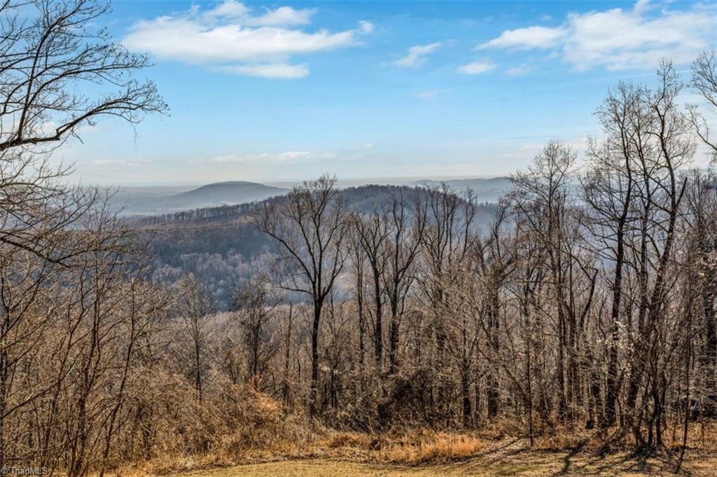 1750 Bethany Church Road Moravian Falls, NC 28654 - Photo 22 of 33