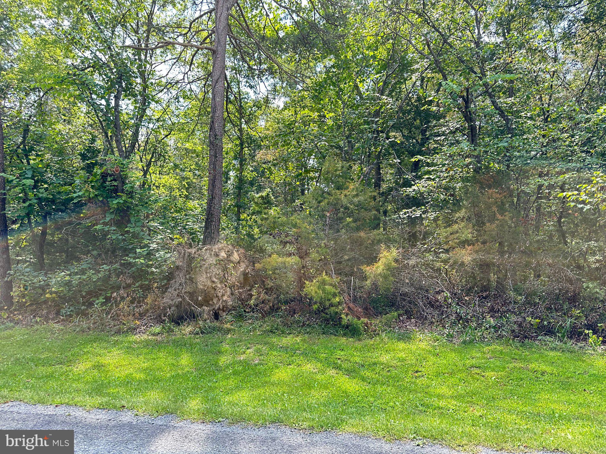 0 Egypt Bend Road Luray, VA 22835 - Photo 7 of 9 Gallery Image 7