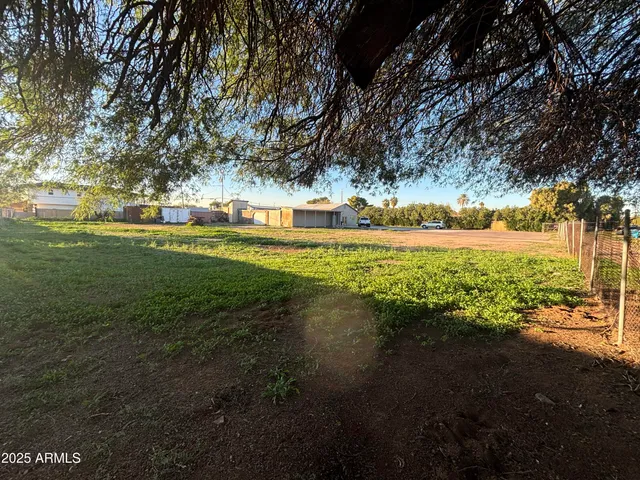 a view of yard with green space and trees all around