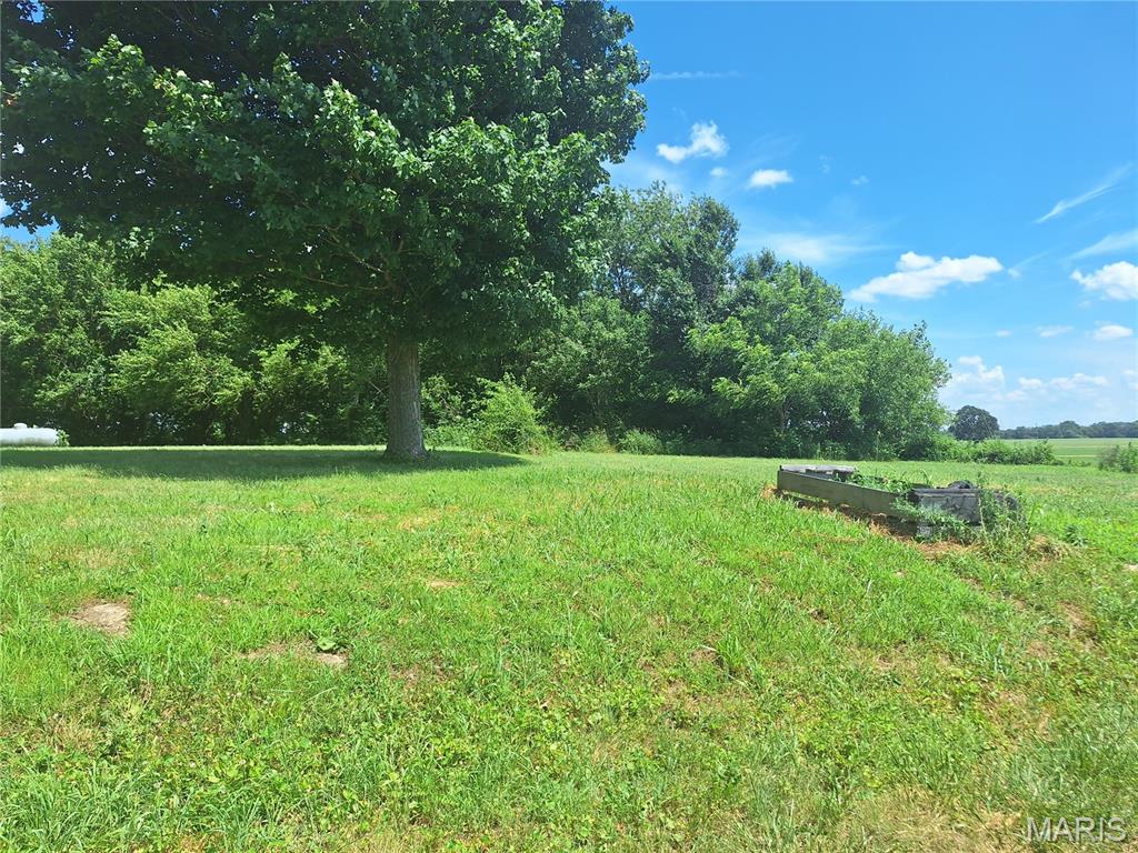 10325 Rose Road St. Jacob, IL 62281 - Photo 5 of 7
