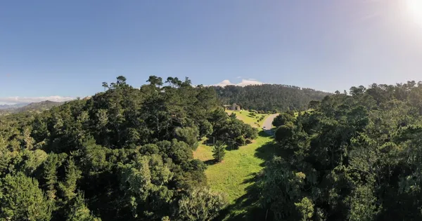 a view of a lake with a mountain in the background