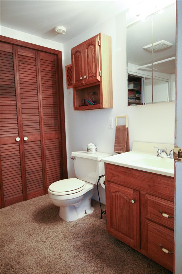 3100 Simpson Road Owosso, MI 48867 - Photo 18 of 30 31367297-17.JPG