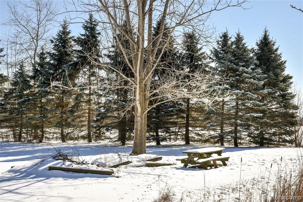 4701 Shutt Road Capac, MI 48014 - Photo 5 of 42