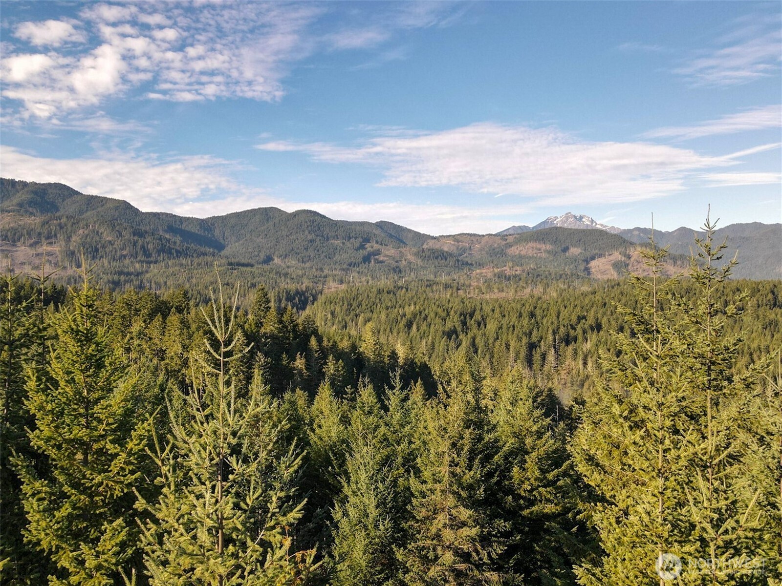 0 North Hamma Ridge Drive Lilliwaup, WA 98555 - Photo 3 of 3 a view of a mountain range in a cloudy sky