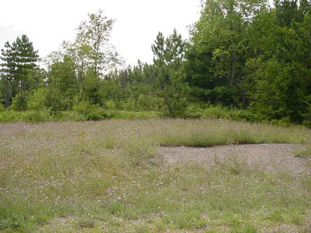 On Dillon Drive Rhinelander, WI 54501 - Photo 1 of 12 Gallery Image 1
