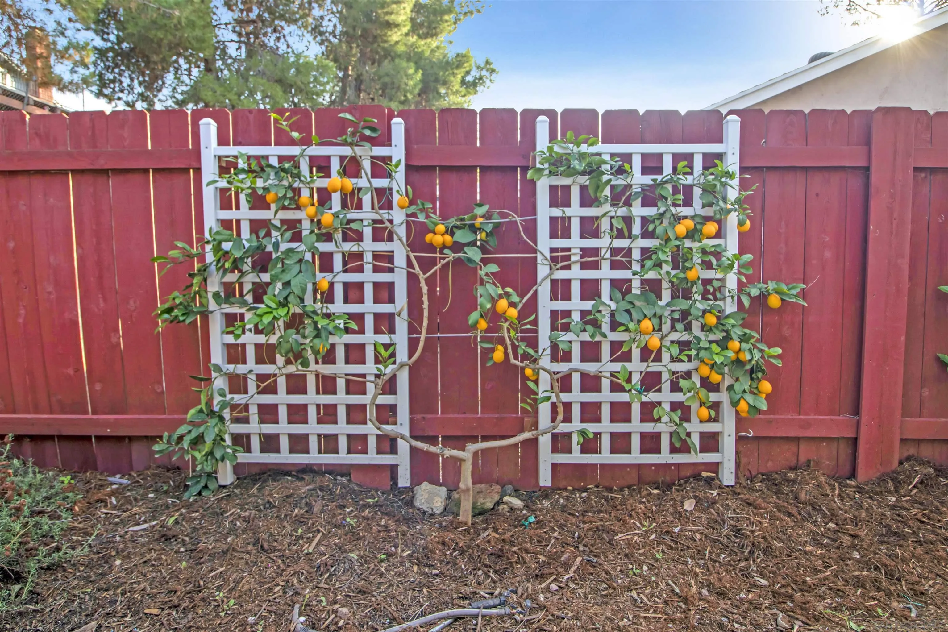 8701 Langholm Road El Cajon, CA 92021 - Photo 27 of 27 Gallery Image 27