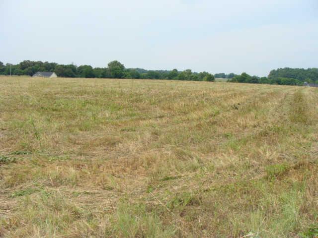 230 Old Martin Chapel Road Portland, TN 37148 - Photo 1 of 1