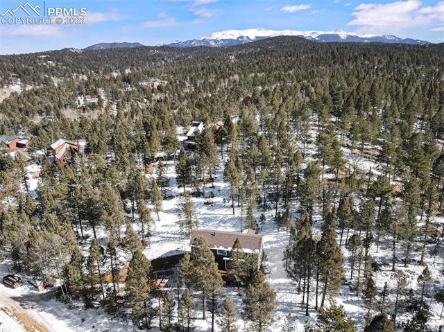 96 Wahsatch Road Florissant, CO 80816 - Photo 29 of 35 Gallery Image 29