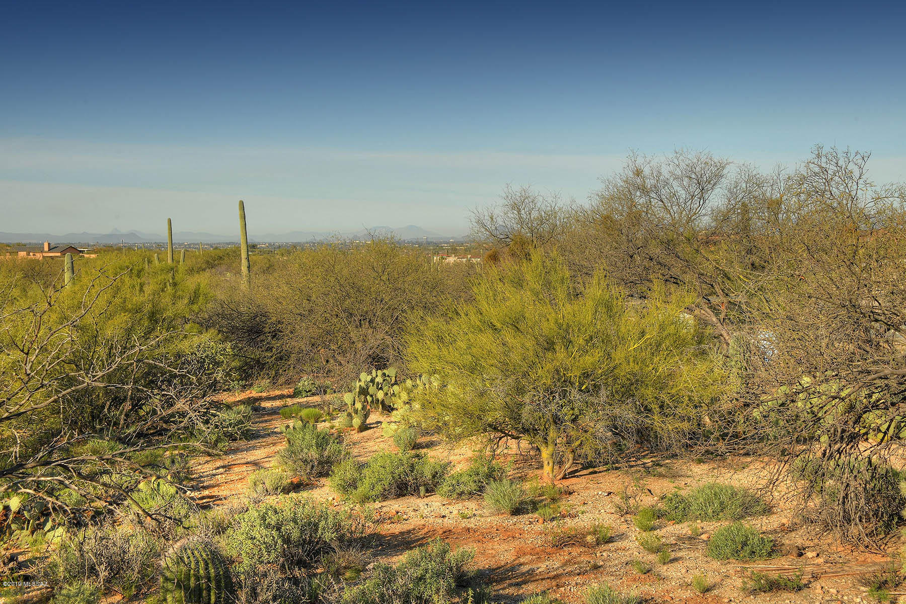 12350 East Prince Road Tucson, AZ 85749 - Photo 39 of 44 Gallery Image 39