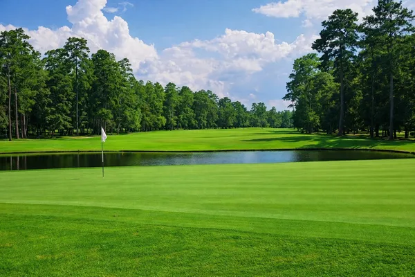 $5,890 | 25307 Piney Bend Court, Spring, TX 77389