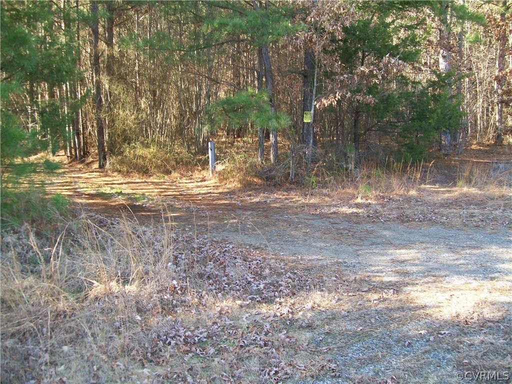 N/a Liberty Road Alberta, VA 23821 - Photo 18 of 50 Gallery Image 18