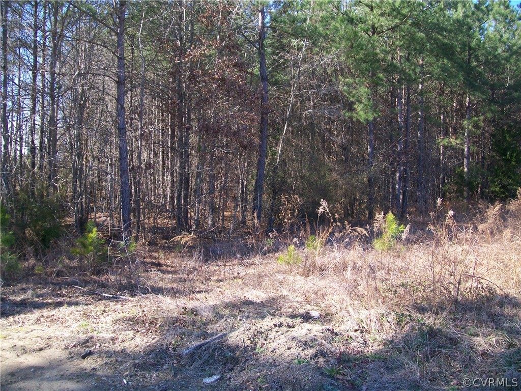 N/a Liberty Road Alberta, VA 23821 - Photo 19 of 50 Gallery Image 19
