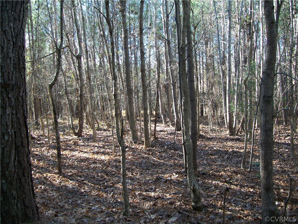 N/a Liberty Road Alberta, VA 23821 - Photo 20 of 50 Gallery Image 20