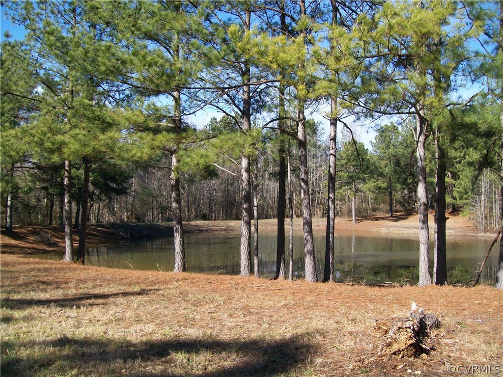 N/a Liberty Road Alberta, VA 23821 - Photo 21 of 50 Gallery Image 21