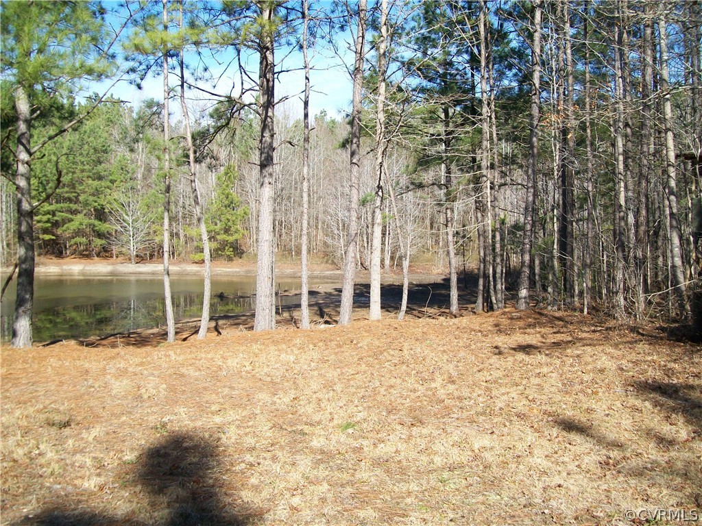 N/a Liberty Road Alberta, VA 23821 - Photo 22 of 50 Gallery Image 22