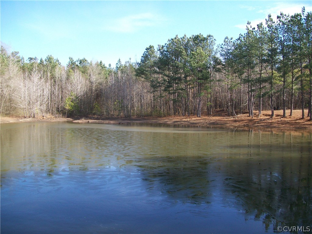 N/a Liberty Road Alberta, VA 23821 - Photo 24 of 50 Gallery Image 24