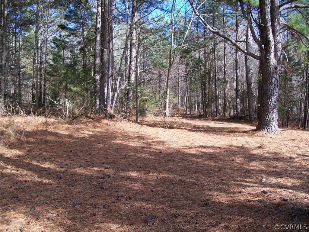 N/a Liberty Road Alberta, VA 23821 - Photo 26 of 50 Gallery Image 26