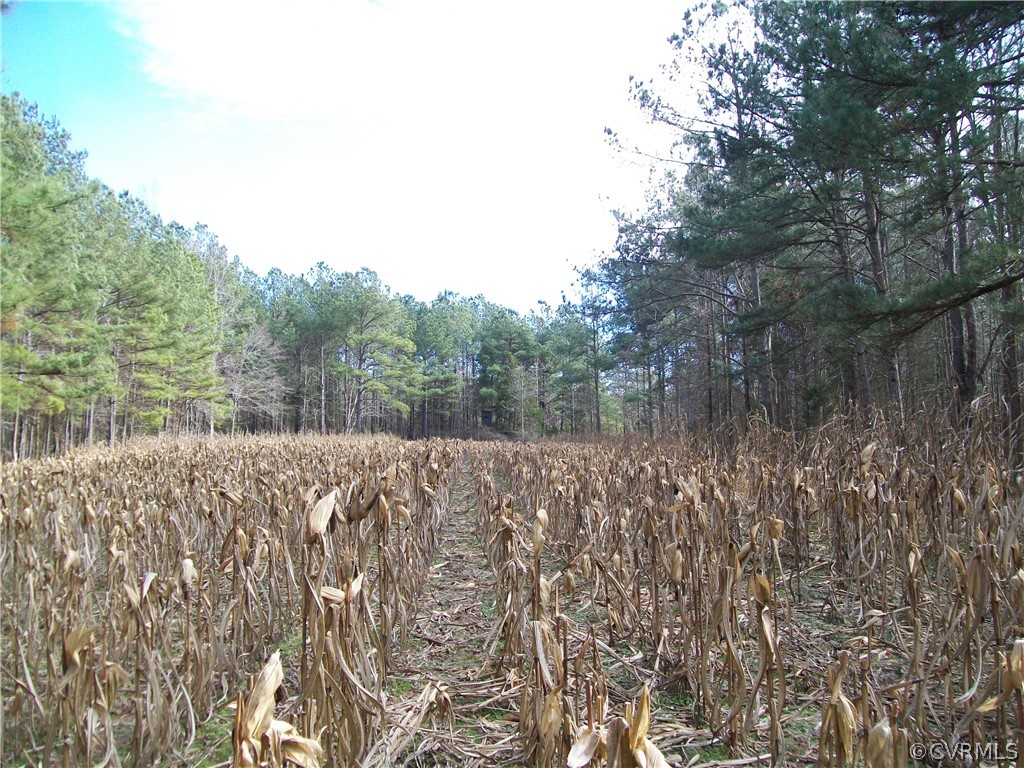 N/a Liberty Road Alberta, VA 23821 - Photo 29 of 50 Gallery Image 29