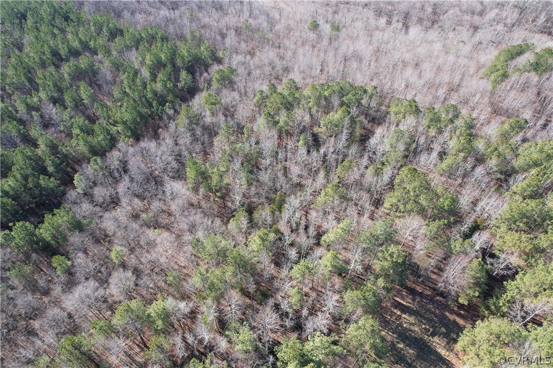 N/a Liberty Road Alberta, VA 23821 - Photo 6 of 50 Gallery Image 6