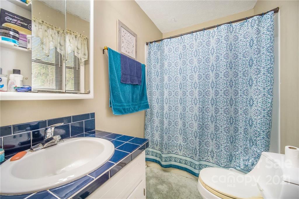 833 Long Branch Road Grover, NC 28073 - Photo 21 of 29 a bathroom with a sink toilet and shower