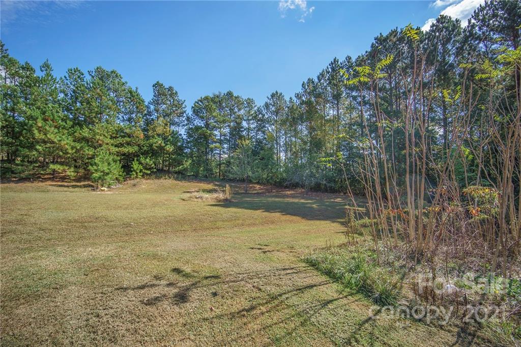 833 Long Branch Road Grover, NC 28073 - Photo 26 of 29 a view of lake with tree