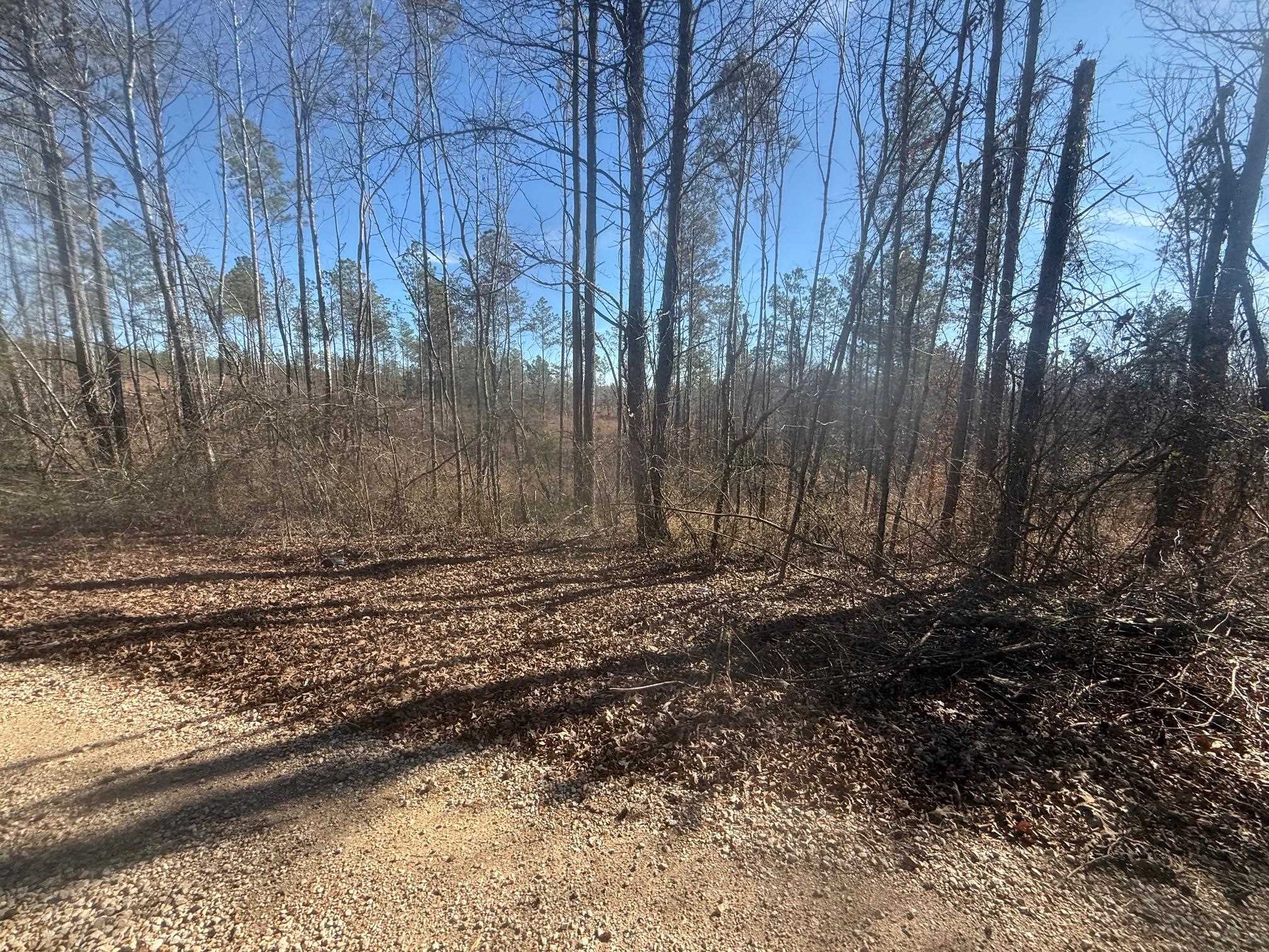 2 George Walter Road Bolivar, TN 38008 - Photo 11 of 13 a view of a backyard of the house
