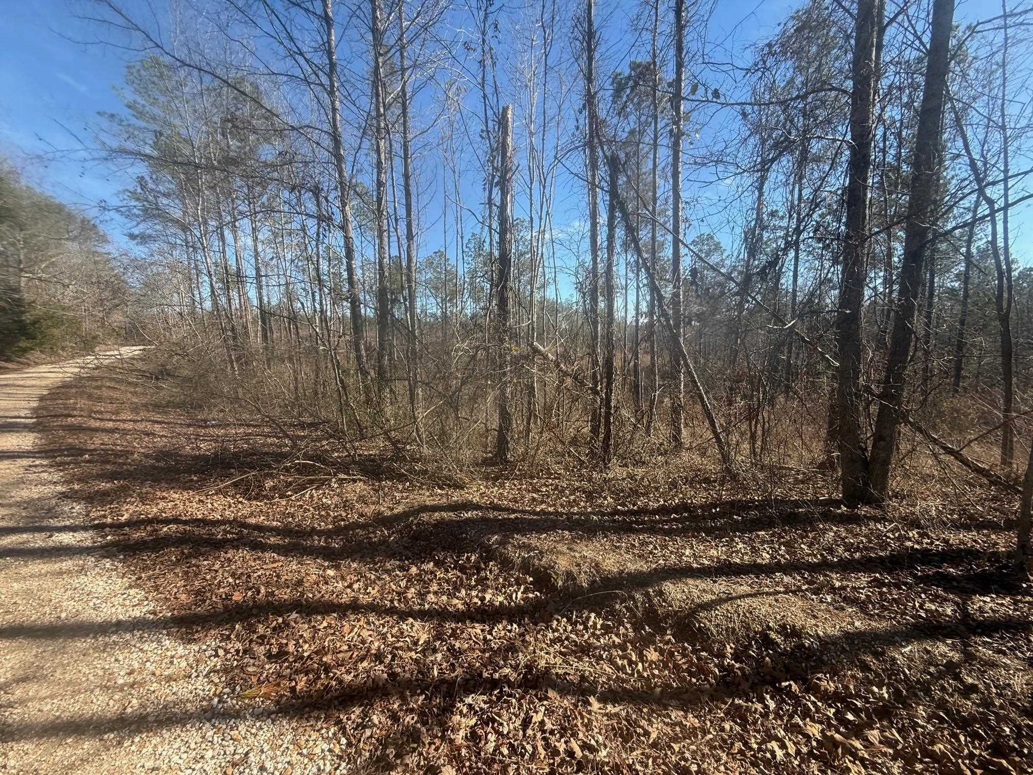 2 George Walter Road Bolivar, TN 38008 - Photo 12 of 13 a view of a barn in the middle of a yard
