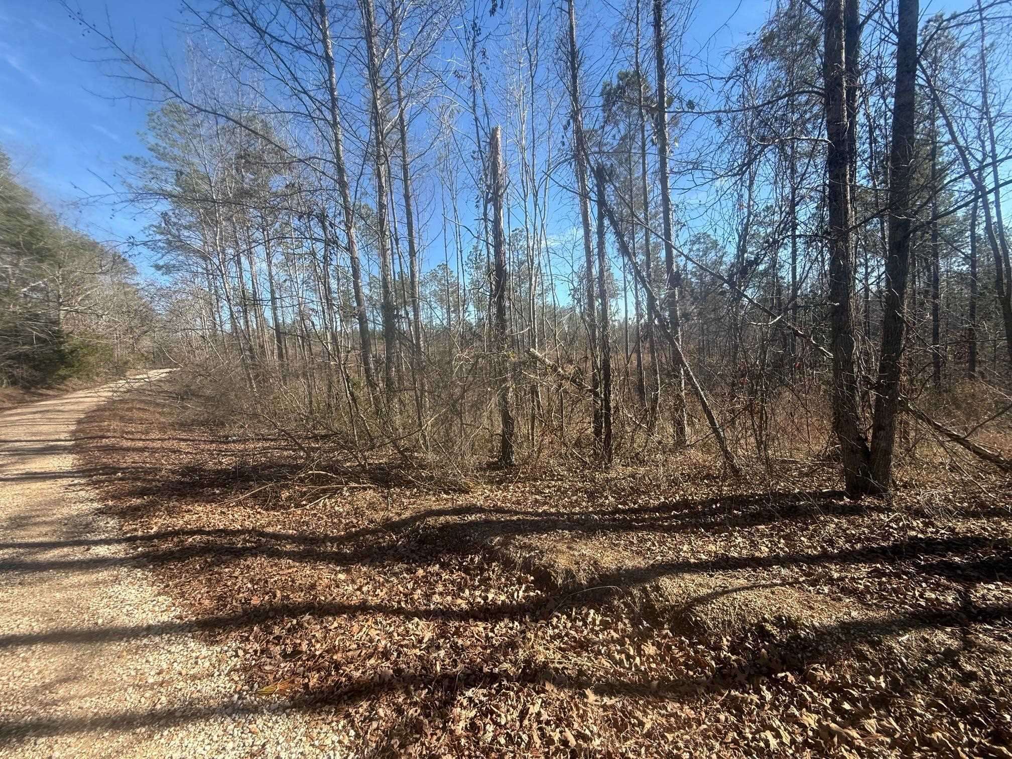 2 George Walter Road Bolivar, TN 38008 - Photo 13 of 13 a view of a barn in the middle of a yard