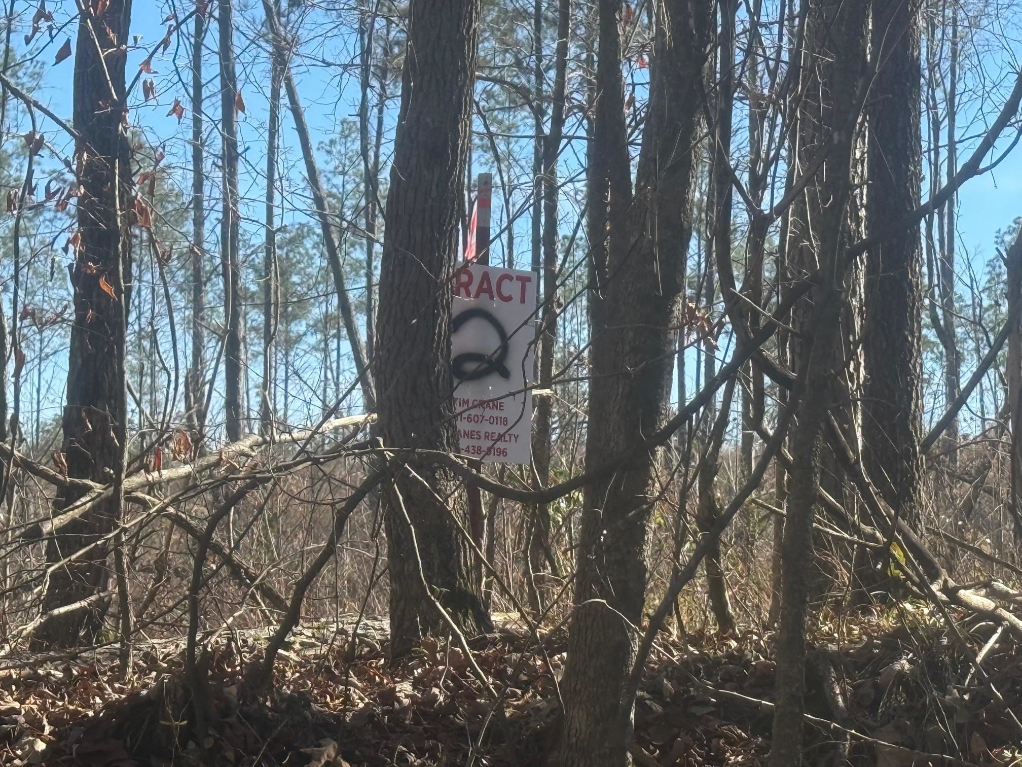 2 George Walter Road Bolivar, TN 38008 - Photo 5 of 13 a backyard of a house with lots of green space
