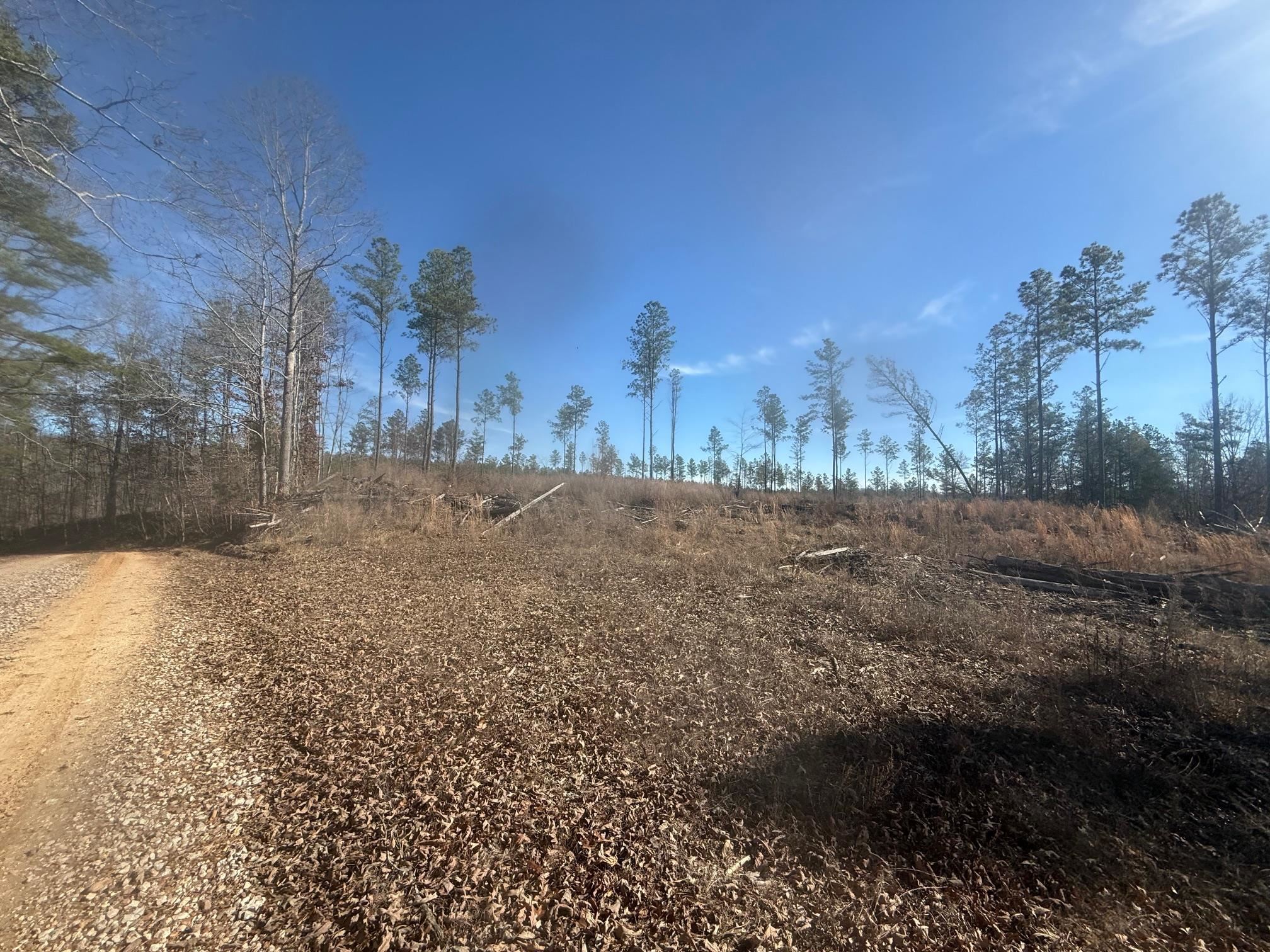 2 George Walter Road Bolivar, TN 38008 - Photo 9 of 13 a view of dirt field with trees