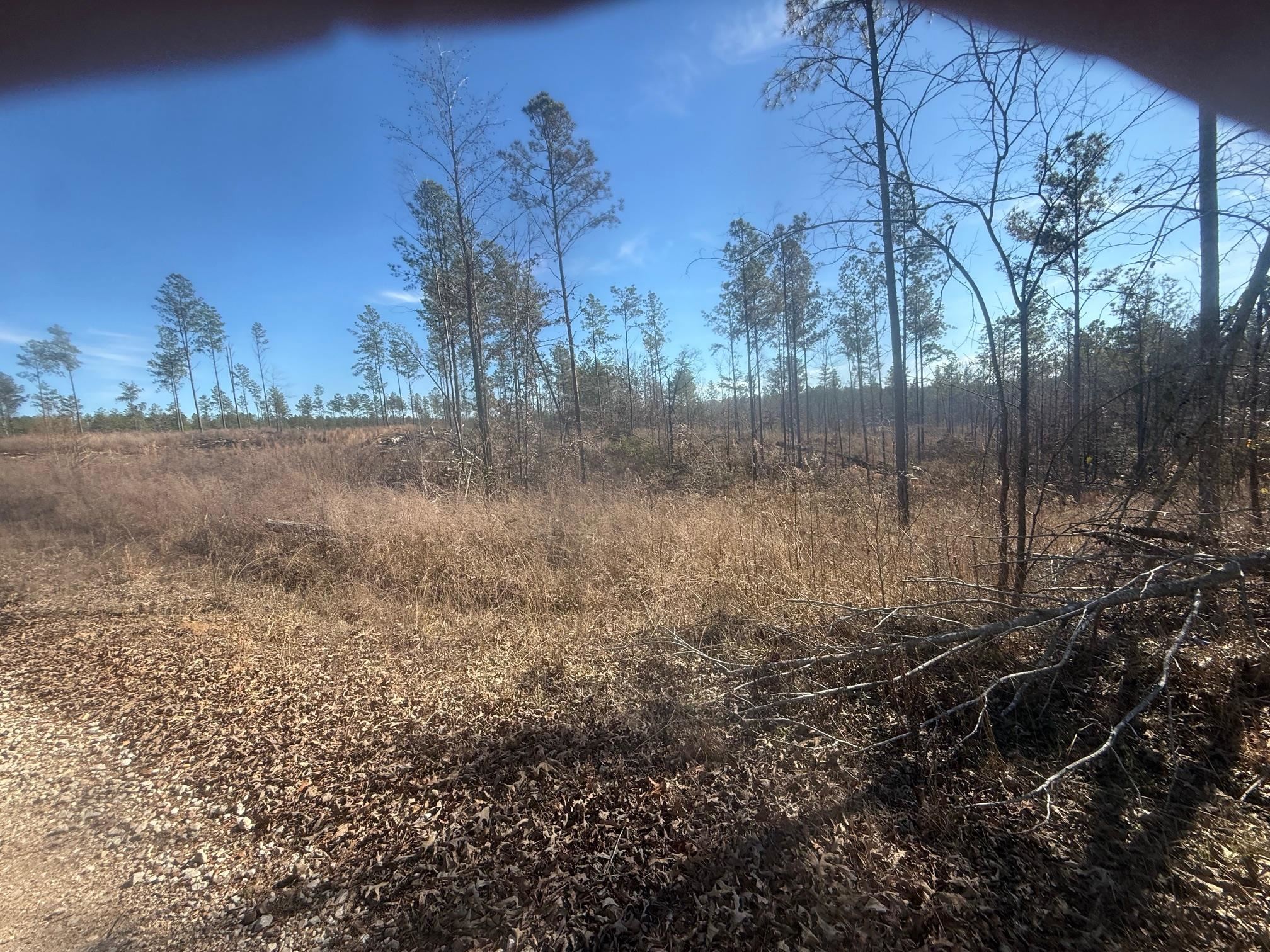 2 George Walter Road Bolivar, TN 38008 - Photo 10 of 13 a view of a backyard of the house