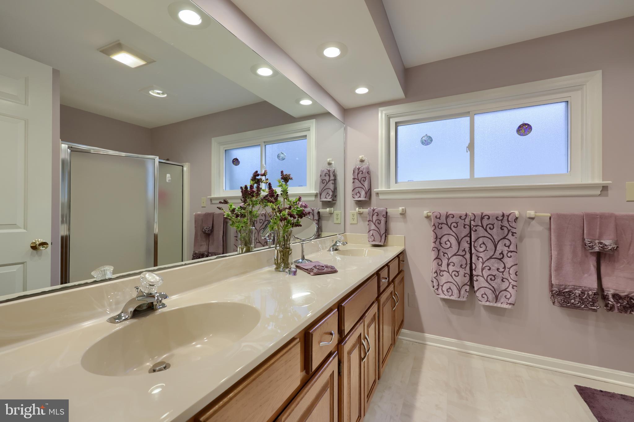 142 St Thomas Road Lancaster, PA 17601 - Photo 19 of 58 a bathroom with a sink and a mirror