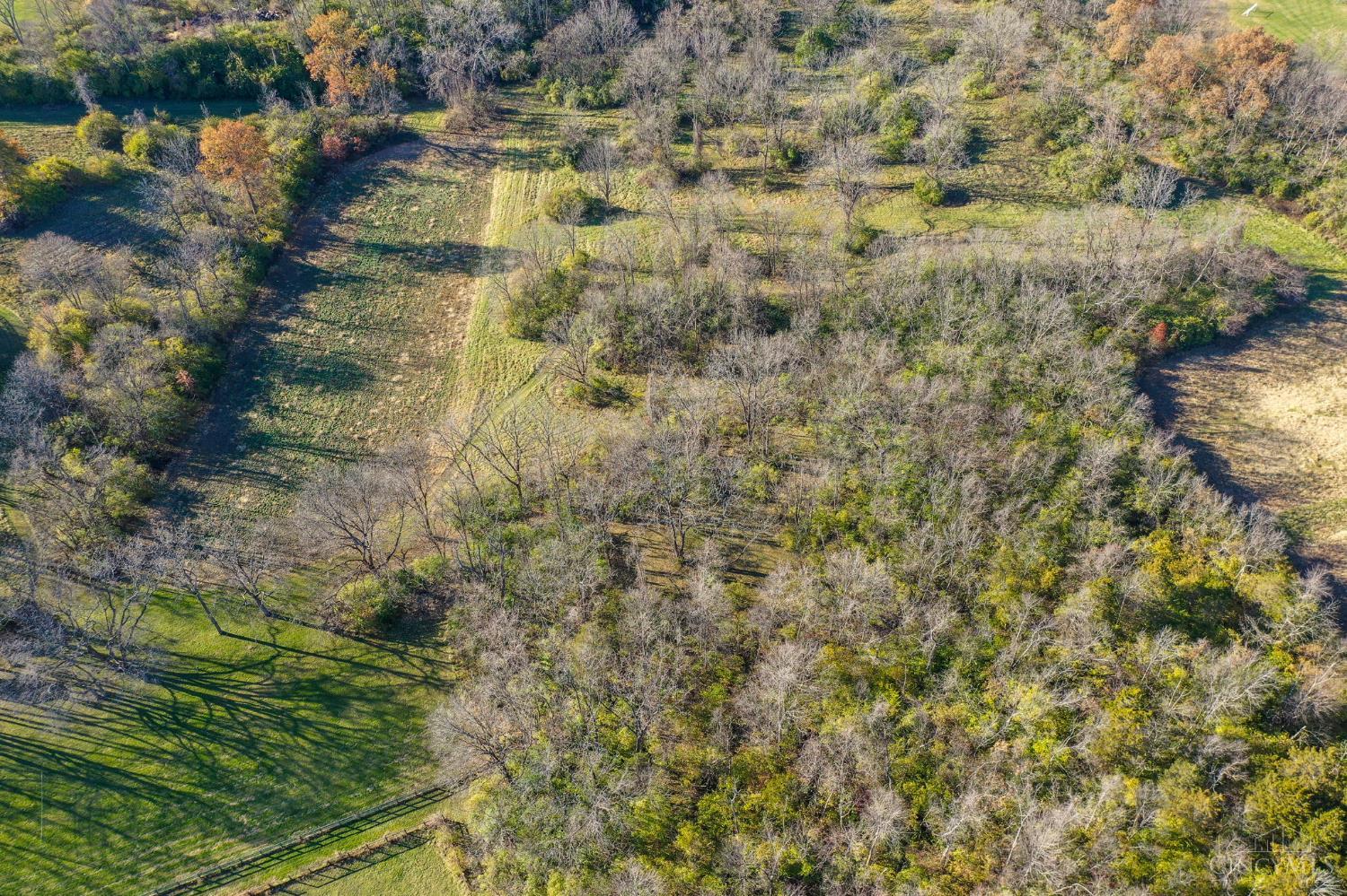 2566 East Lower Springboro Road Waynesville, OH 45068 - Photo 86 of 99
