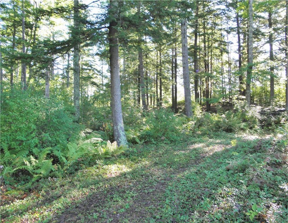 766 Hatchet Mountain Road Hope, ME 04847 - Photo 10 of 13 Photo