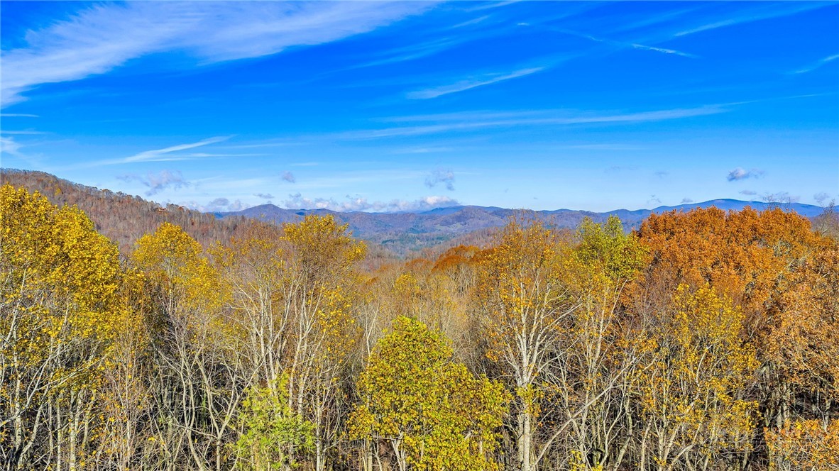 1451 Elliott Road West Jefferson, NC 28694 - Photo 33 of 33