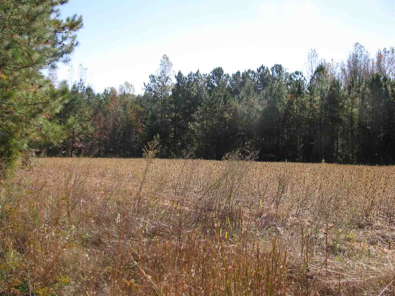 Carroll Town Road Macon, NC 27551 - Photo 2 of 7 Photo 2