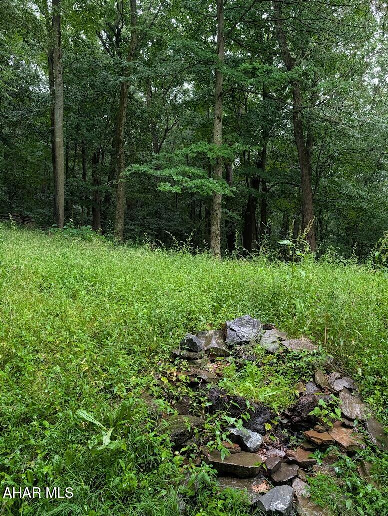 198 Blue Knob Road Portage, PA 15946 - Photo 98 of 111 Gallery Image 98
