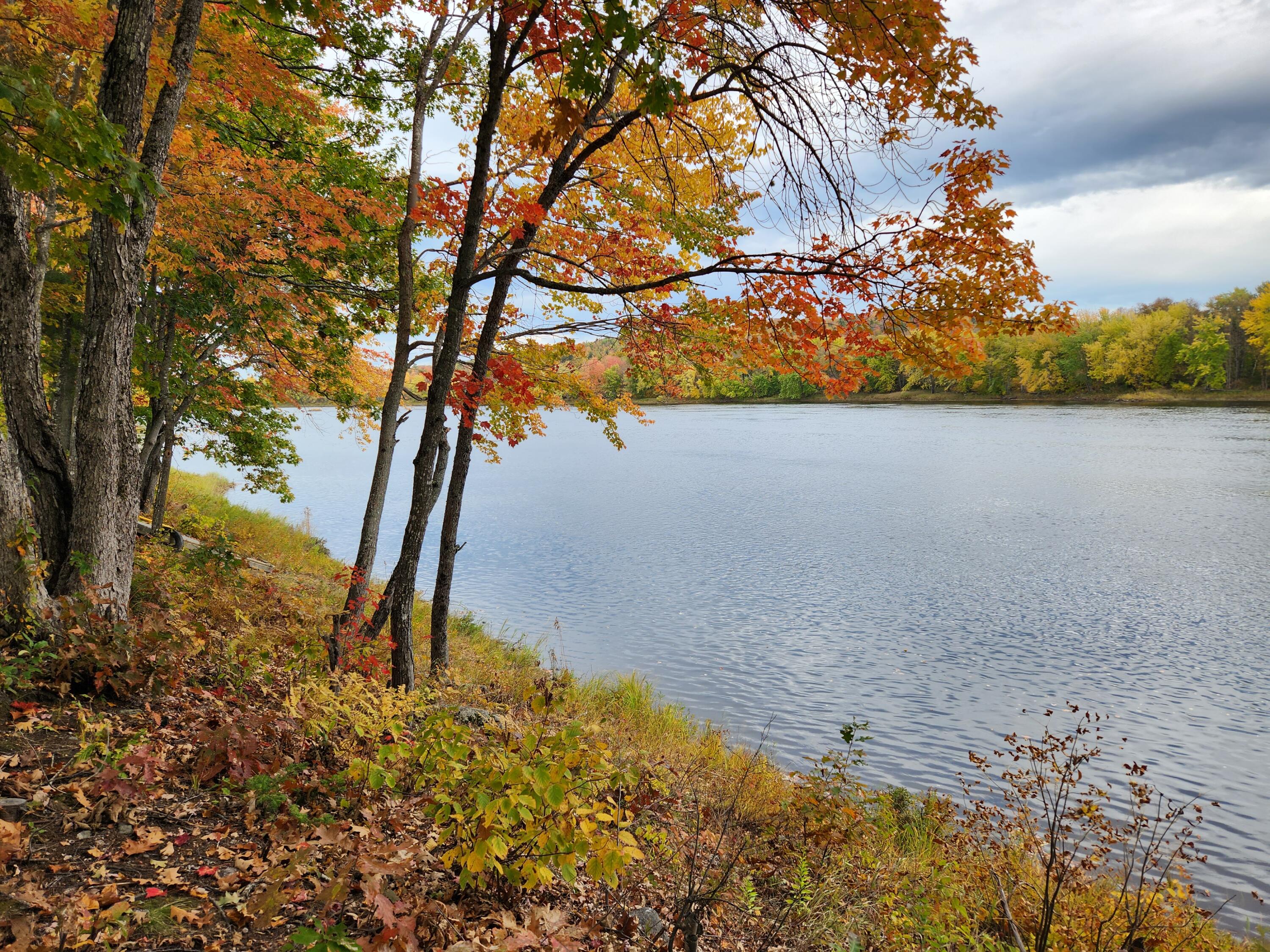 93 Loop Road Lincoln, ME 04457 - Photo 38 of 45 Penobscot River!