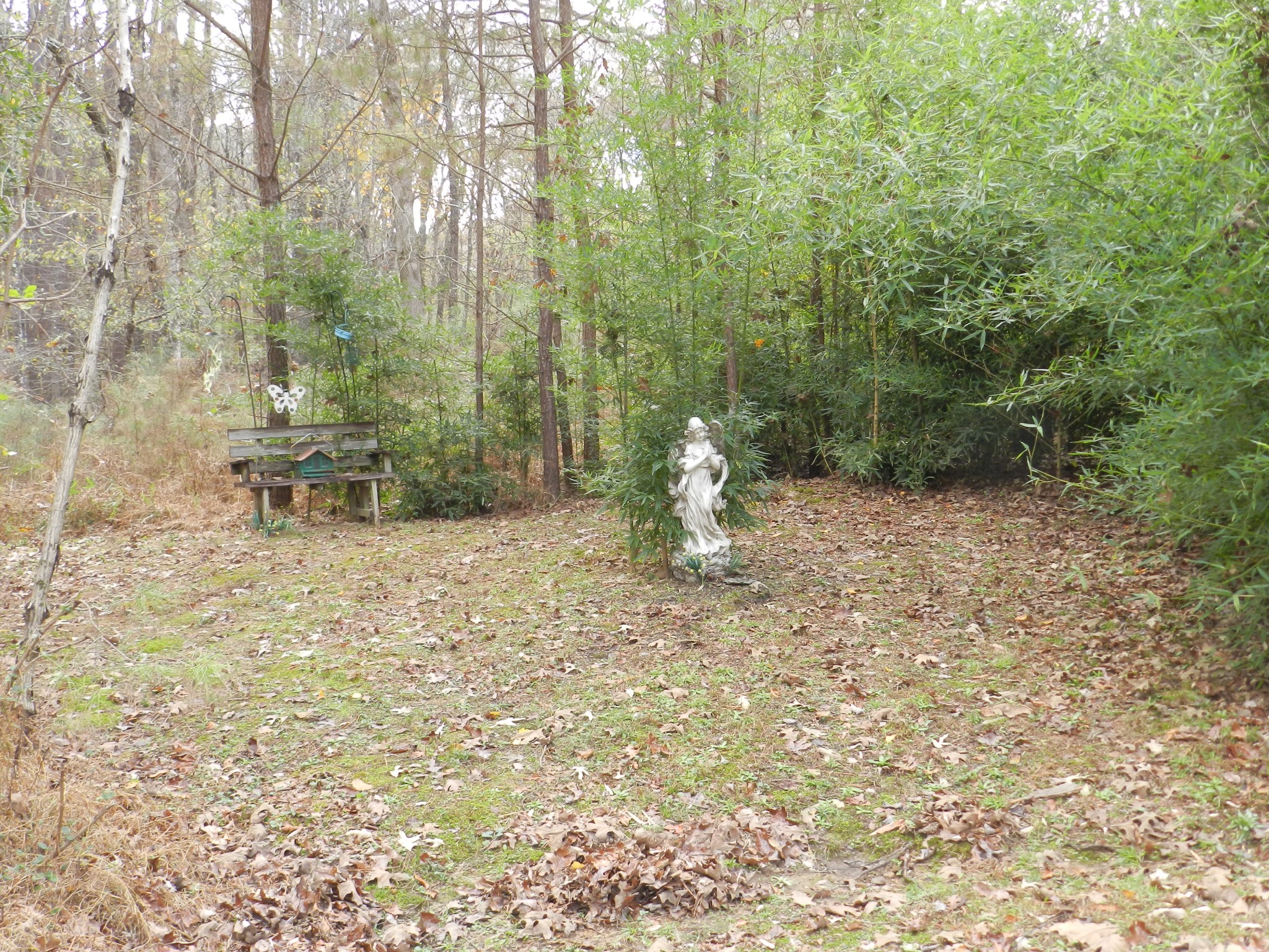 120 Burns Road Buchanan, TN 38222 - Photo 10 of 12 Gallery Image 10